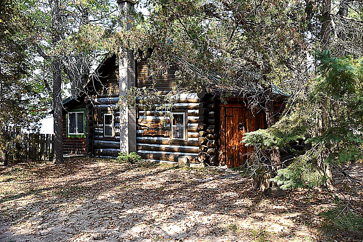 Log Cabin side view